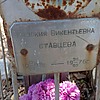 Ставцева Евдокия Викентьевна