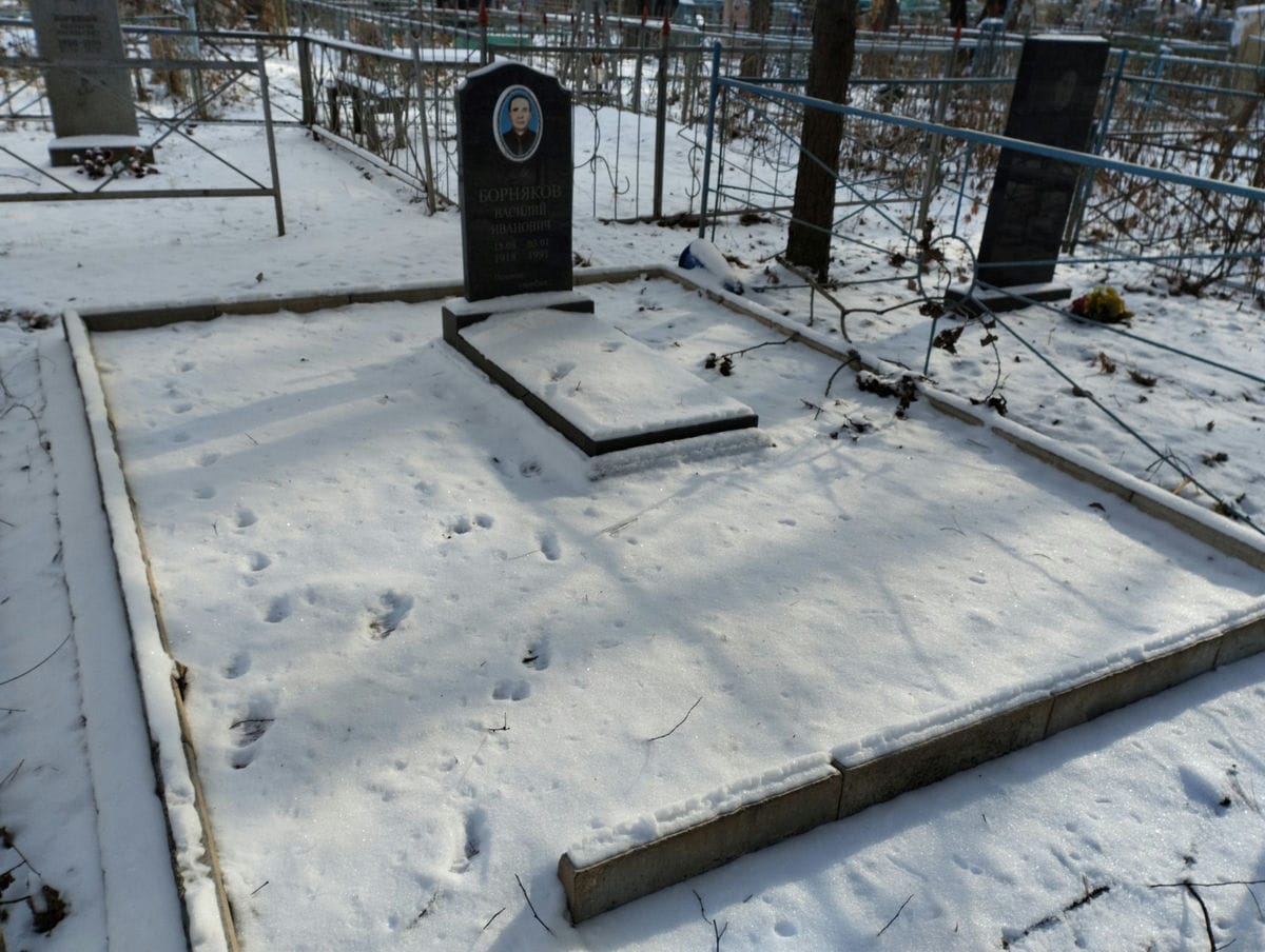 Борняков Василий Иванович