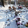 Мишин Игорь Владимирович