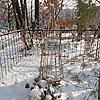 Шульгина Татьяна Винидиктовна