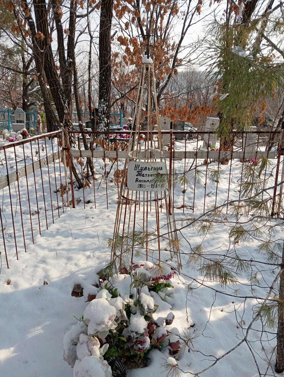 533d83c9-a844-4646-8018-805d9b549540 Шульгина Татьяна Винидиктовна
