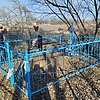 Зеленская Евдокия Ильинична