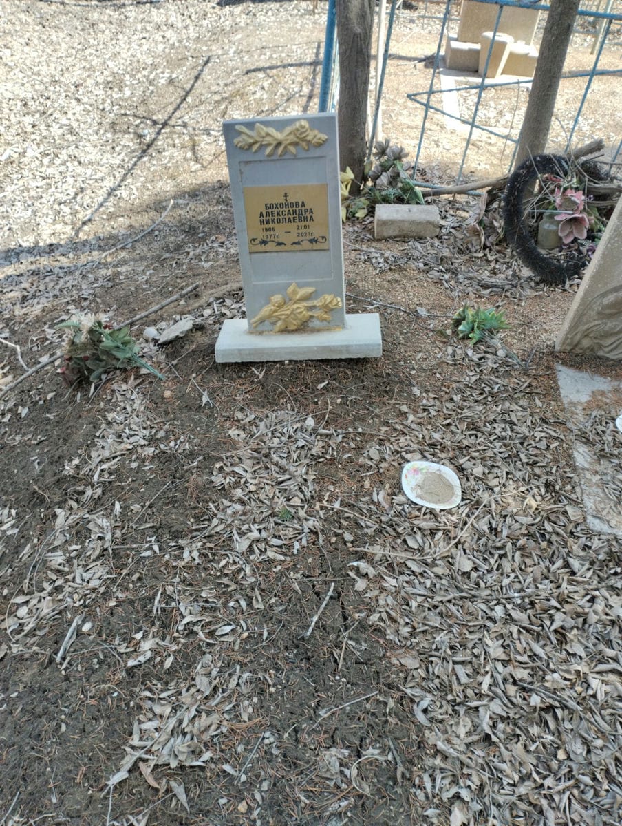 Бохонова Александра Николаевна