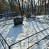 Стародубцева Ксения Даниловна