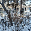 55c060f9-a8cb-4780-a6a4-9bd9b7a9ea55 Неизвестно Неизвестно Неизвестно