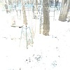 Неизвестно Неизвестно Неизвестно