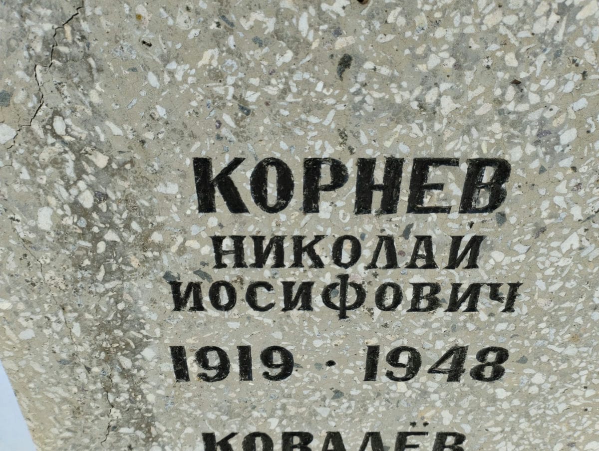 5a010806-bfbc-4a52-a985-45ae3d78be0d Корнев Николай Иосифович