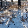 Неизвестно Неизвестно Неизвестно