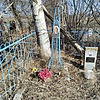 Каленкова Татьяна Вячеславовна