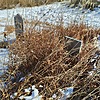Корх Николай Романович