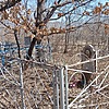 5e020670-9d75-4bcf-8545-2ce81d896a05 Неизвестно Неизвестно Неизвестно