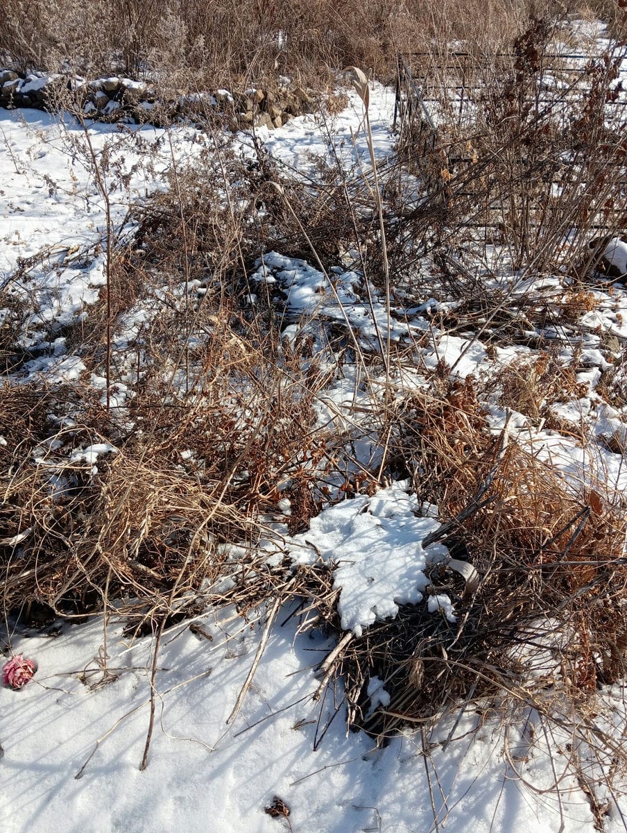 Неизвестно Неизвестно Неизвестно