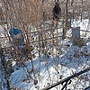 Музыка Николай Филимонович