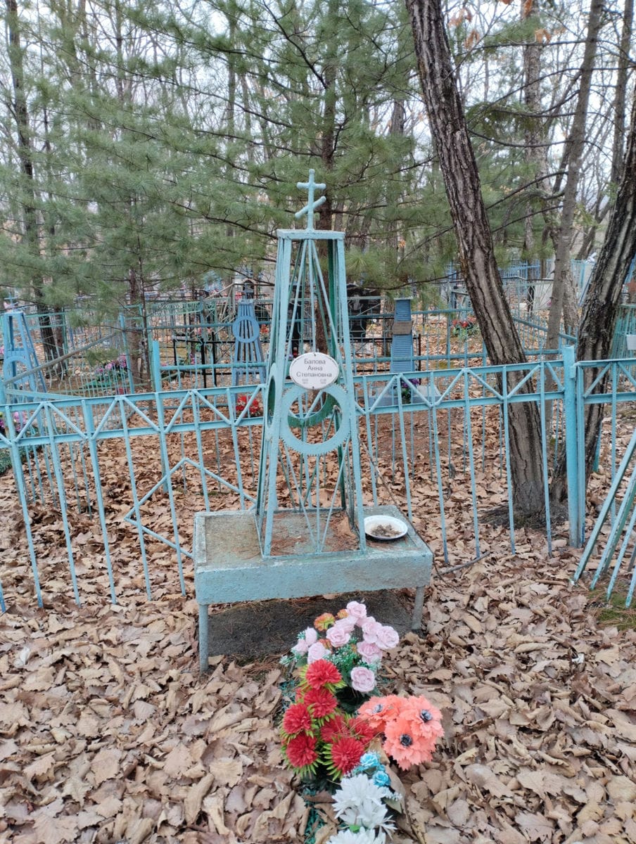 61653748-9b5a-4313-a9ce-036b1d0647d0 Балова Анна Степановна