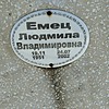 Емец Людмила Владимировна