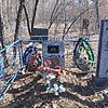 6437cf1f-ca31-4185-a95e-cd3ec4ae2a83 Зуева Александра Васильевна