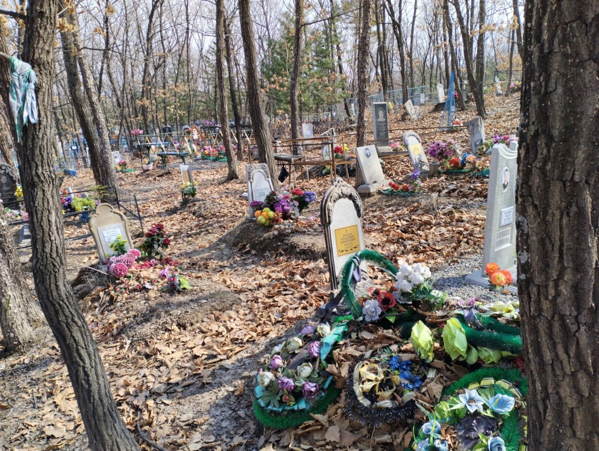 66054028-8e4f-4899-8847-d20d6596b192 ЛУПШЕВ ВЛАДИМИР АЛЕКСЕЕВИЧ