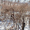 Араныш Иван Никифорович