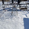 Шевченко Владимир Алексеевич