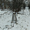 Неизвестно Неизвестно Неизвестно