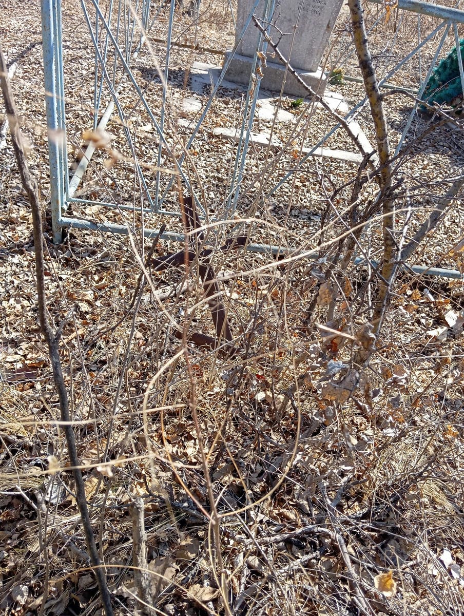 69e11216-9595-4a93-986d-461ad85f804c Неизвестно Неизвестно Неизвестно