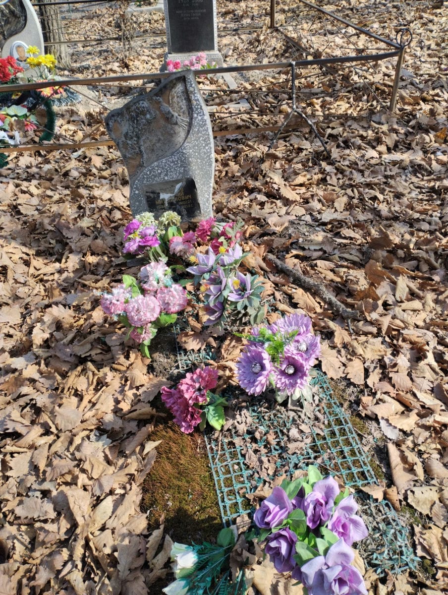 Неизвестно Неизвестно Неизвестно