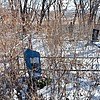 Музыка Николай Филимонович