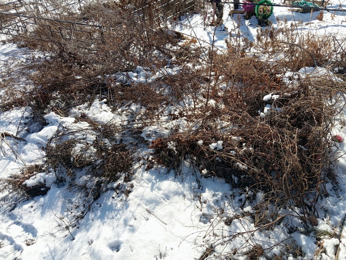 Неизвестно Неизвестно Неизвестно