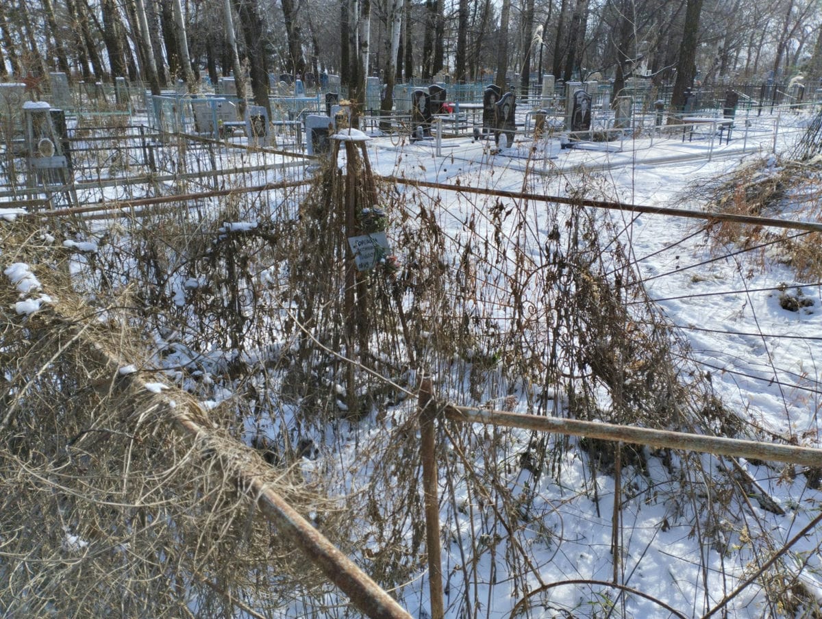 6d000ca8-c7c4-43e7-b9d2-d750f6267ef9 Горелова Аксинья Павловна