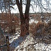 Неизвестно Неизвестно Неизвестно