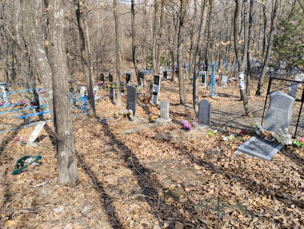 71e6053b-ea22-41a4-9fef-cbfea6e44353 Семагин Владимир Викторович