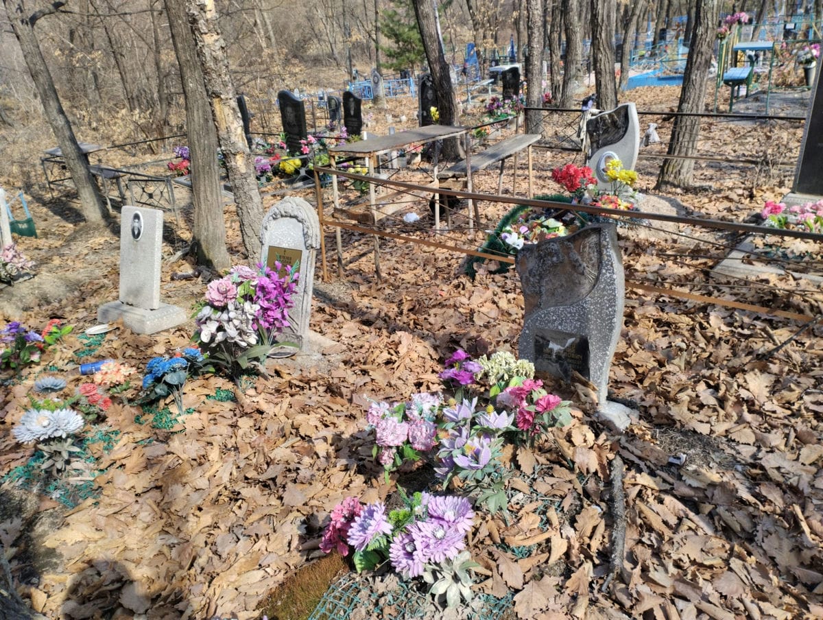 Неизвестно Неизвестно Неизвестно