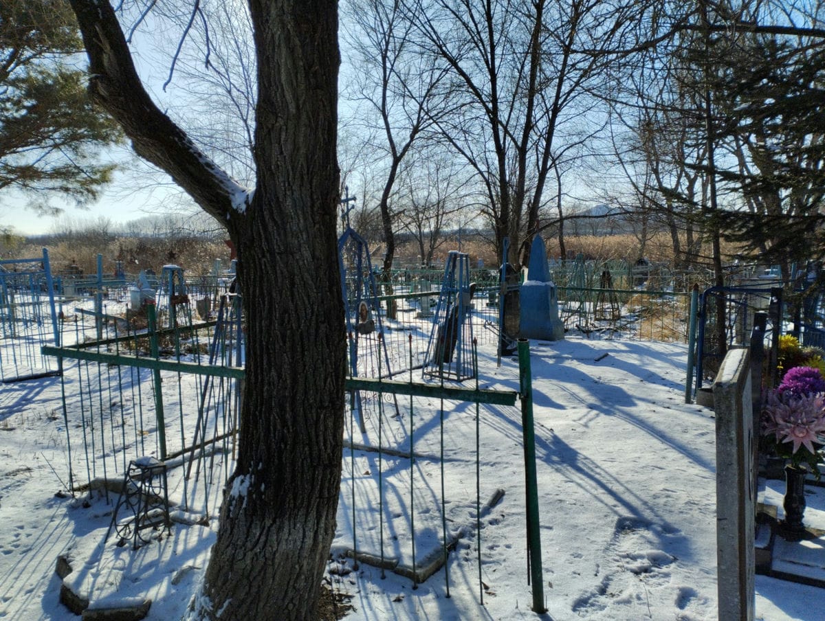 77bdea30-db20-461a-98fa-ca279156f80e Шевченко Пелагея Павловна