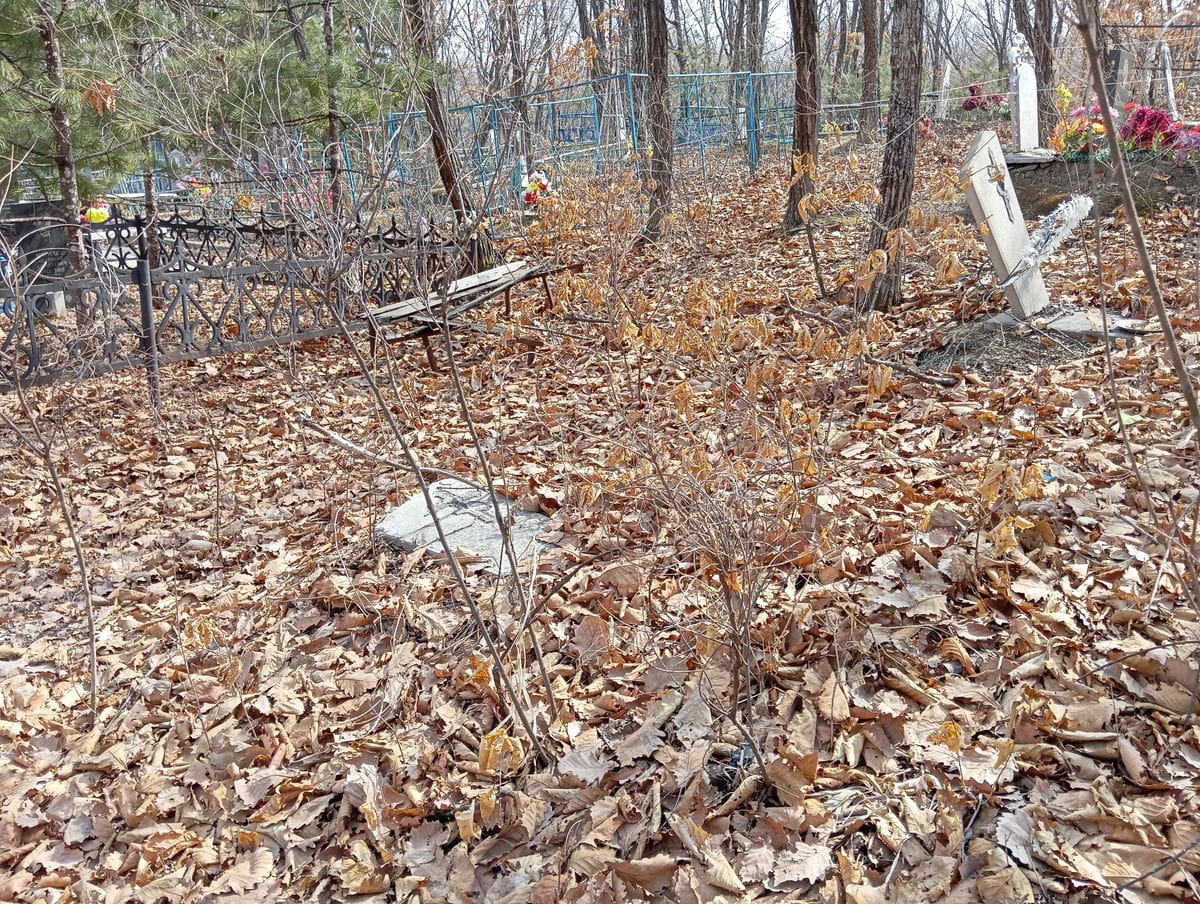 78f22bc3-0de0-4701-bf74-230bcde1ea90 Неизвестно Неизвестно Неизвестно