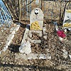 Порокин Сергей Николаевич