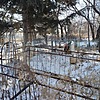 Неизвестно Неизвестно Неизвестно