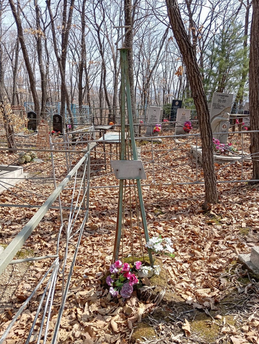 7befda65-8203-46dd-9085-e728b0aea000 Михайлов Александр Владимирович