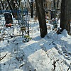 Носова Елена Неизвестно