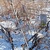 Музыка Николай Филимонович