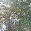 Буренок Татьяна Михайловна