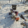 Заика Александр Евгеньевич