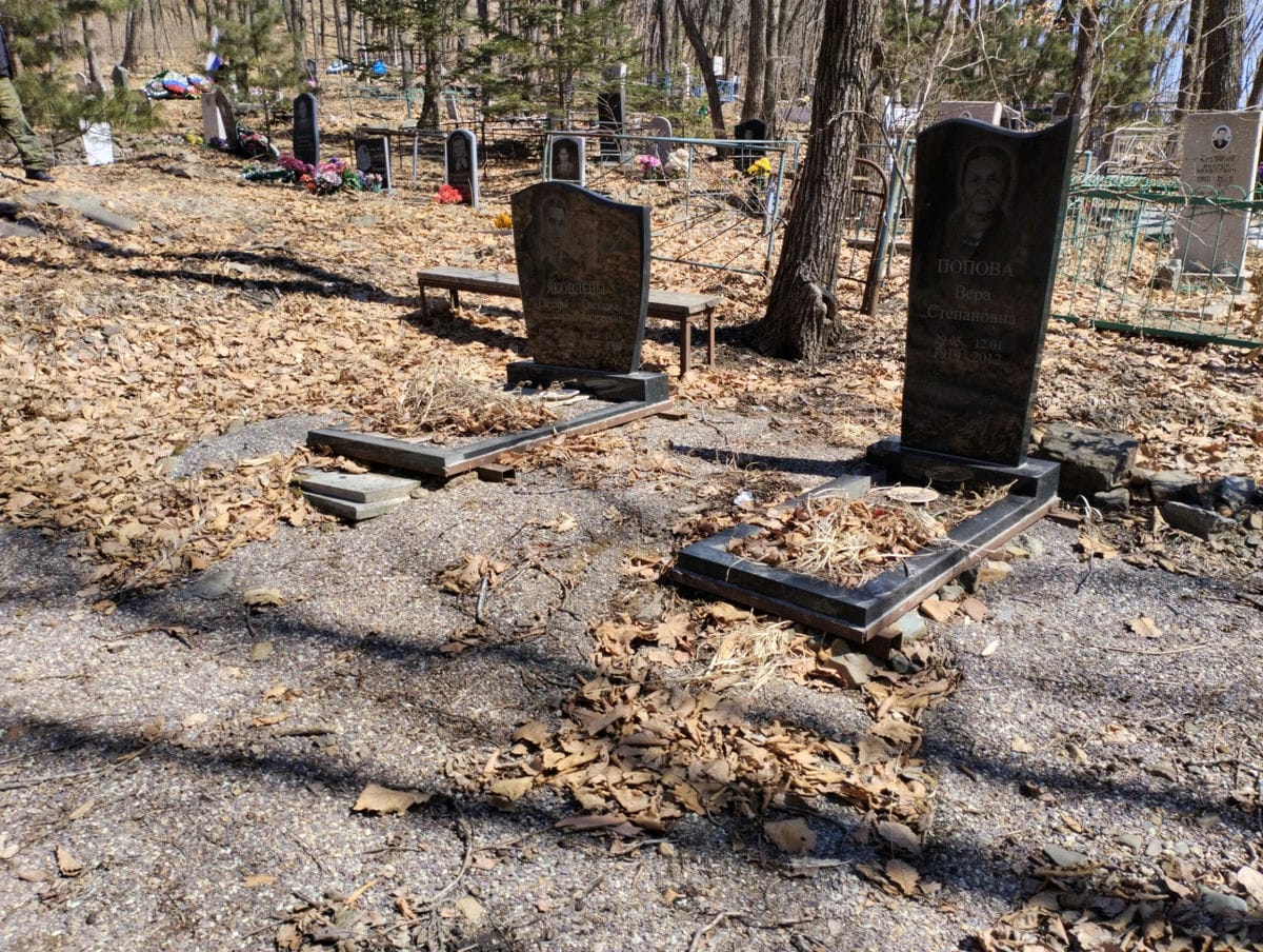 Яковлева Светлана Андреевна