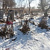 Дыщенков Надир Метович