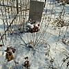 Одинцова Нина Владимировна