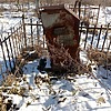 Гранкина Степанида Григорьевна