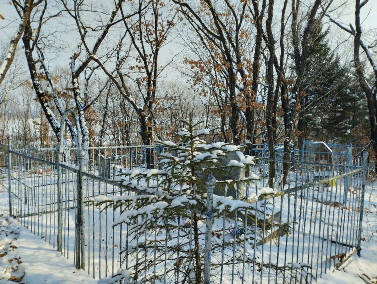 84672221-506b-4802-9907-602b8c4c5c87 Кирда Алексей Тихонович