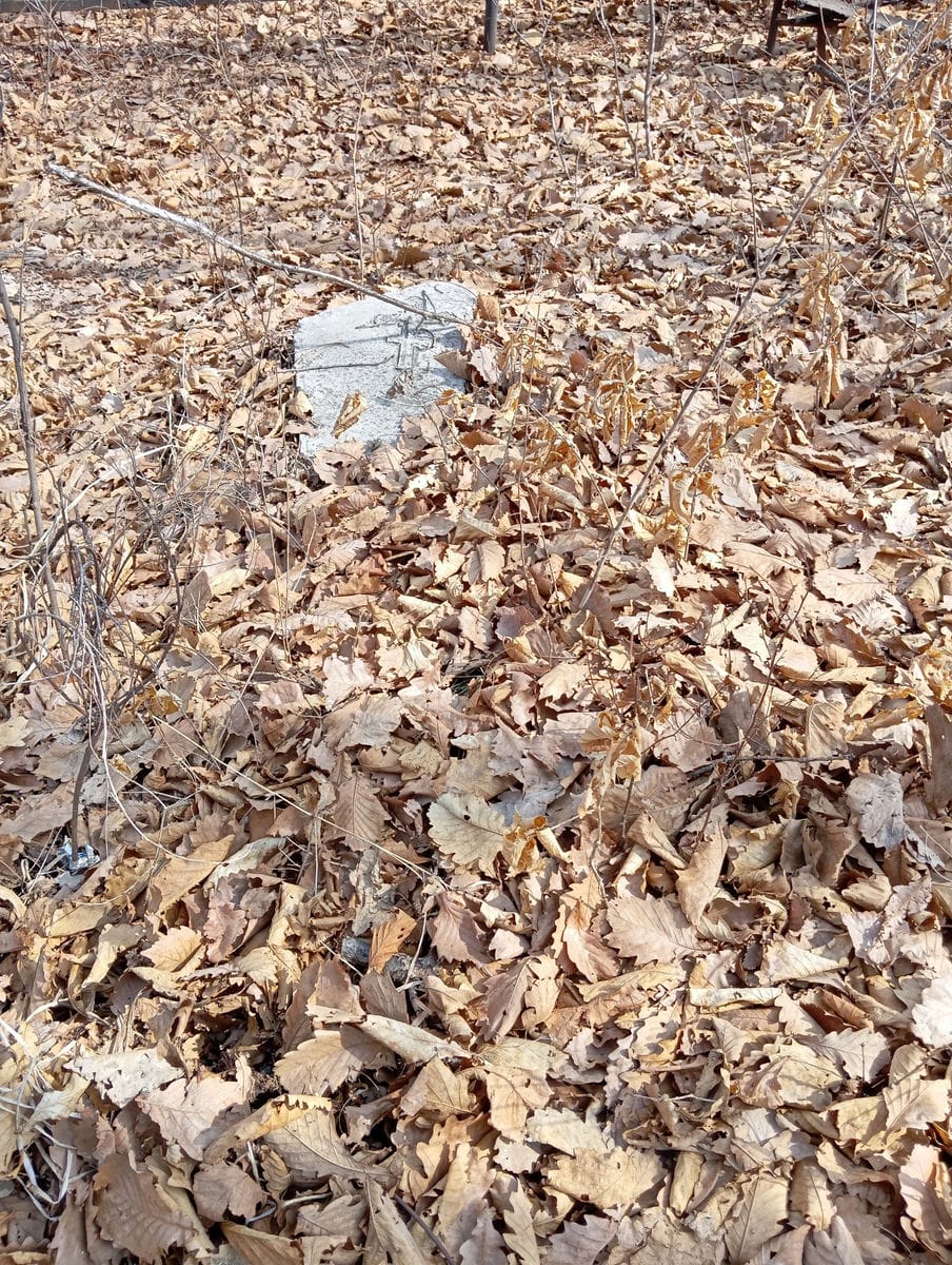 855a99aa-3307-49fd-8aa3-fdcd479b5315 Неизвестно Неизвестно Неизвестно