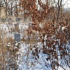 Неизвестно Неизвестно Неизвестно