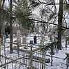 Гатальский Александр Афанасьевич