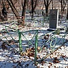 Дедышев Алексей Сергеевич